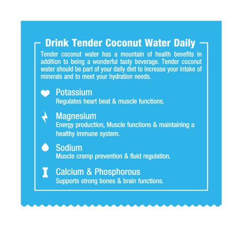 NaturUp Tender Coconut Water Powder Mix (Pack of 40)