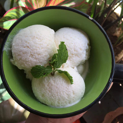 Tropical Delights: Easy Recipes to Make with Tender Coconut Water at Home